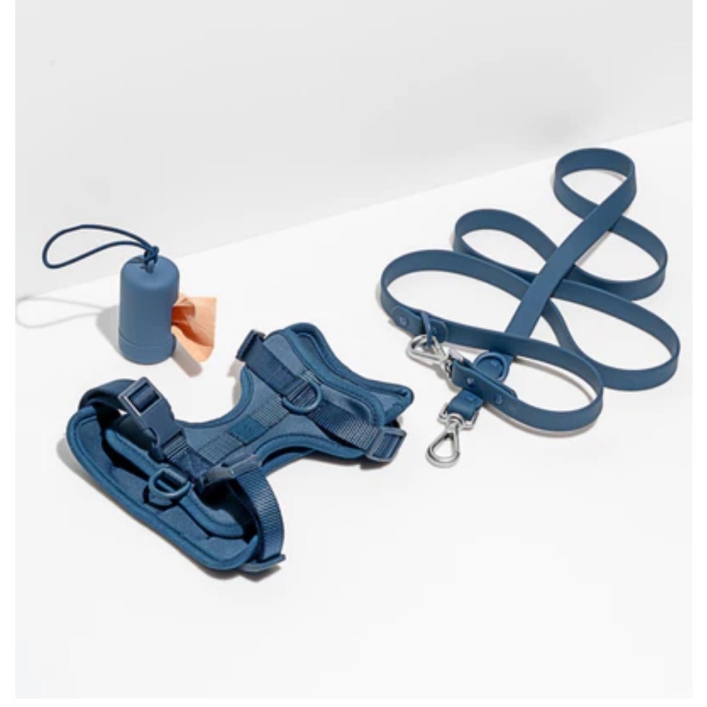 Wild One Harness Set